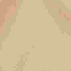 250