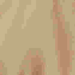230