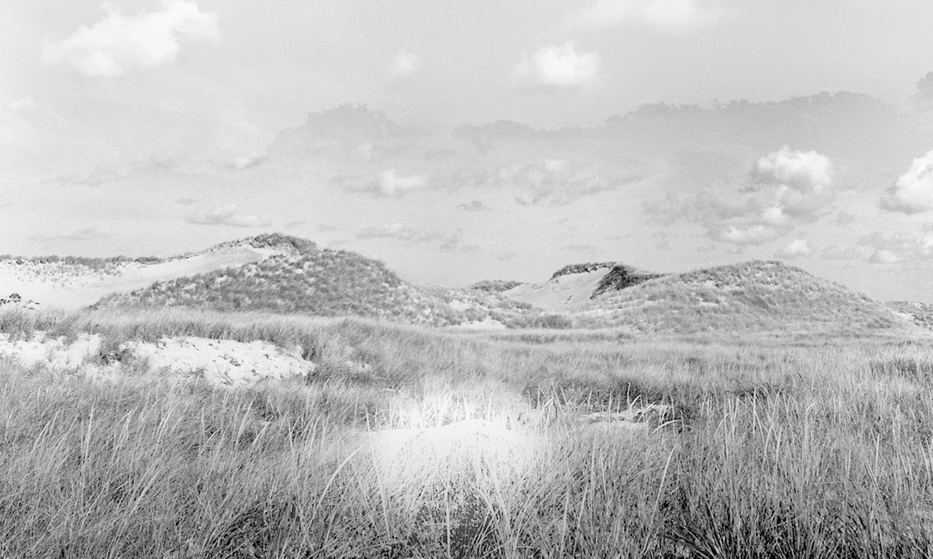 The Polo Shirt GUIDE